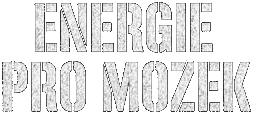 Energie pro mozek