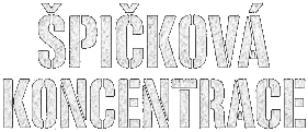 Špičková koncentrace